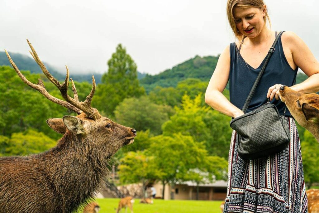 Me looking for more deer crackers in my purse